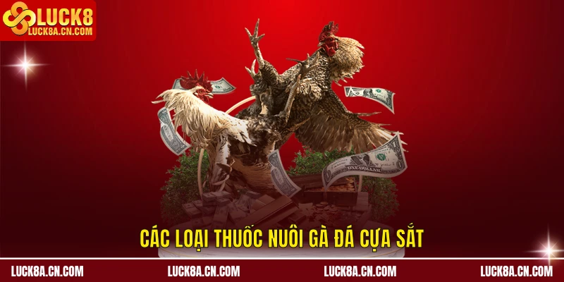 Thuốc Nuôi Gà Đá Cựa Sắt – LUCK8 Bật Mí Cách Dưỡng Chiến Kê 1 Các loại thuốc nuôi gà đá cựa sắt tại hệ thống