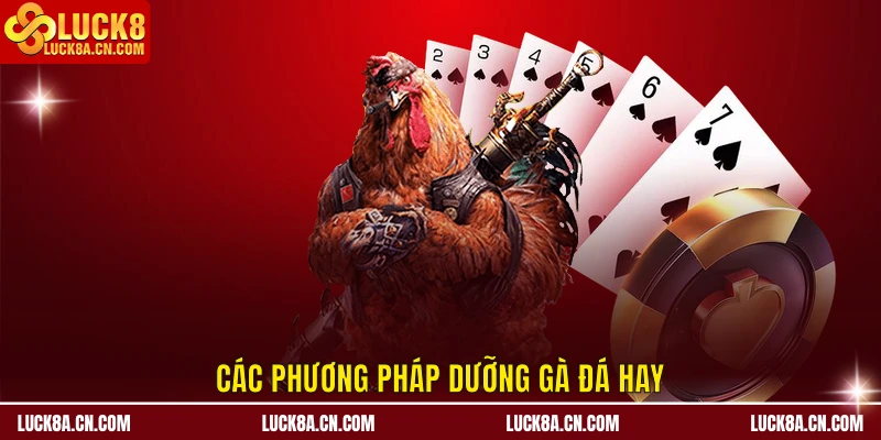 Cách Dưỡng Gà Đá Hay - Phương Pháp Dưỡng Sức Gà Chiến 1 Các phương pháp dưỡng gà đá hay