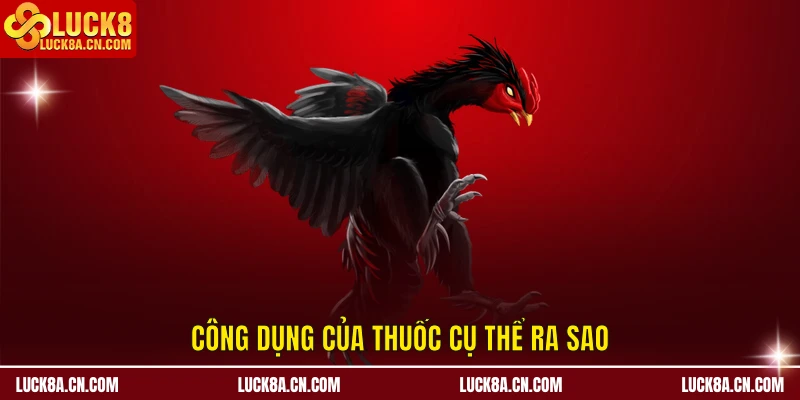 Thuốc Nuôi Gà Đá Cựa Sắt – LUCK8 Bật Mí Cách Dưỡng Chiến Kê 2 Công dụng của thuốc nuôi gà đá cựa sắt cụ thể ra sao