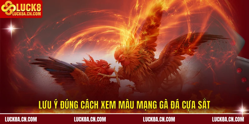 Cách Xem Màu Mạng Gà Đá Cựa Sắt – Kinh Nghiệm Từ LUCK8 4 Lưu ý đúng cách xem màu mạng gà đá cựa sắt